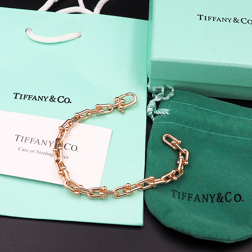 Horseshoe Clasp Bracelet