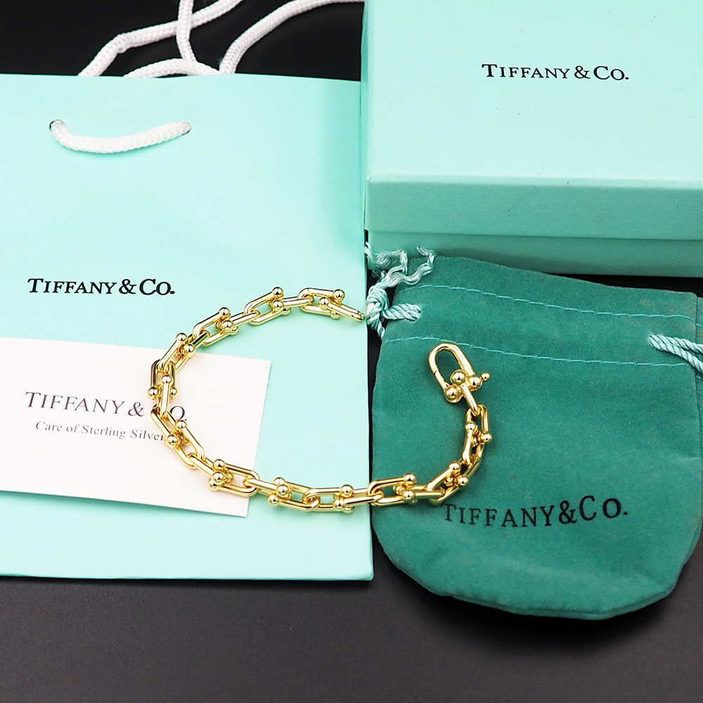 Horseshoe Clasp Bracelet