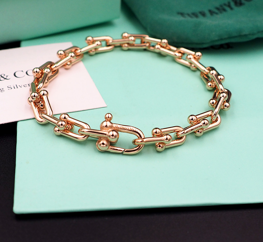 Horseshoe Clasp Bracelet