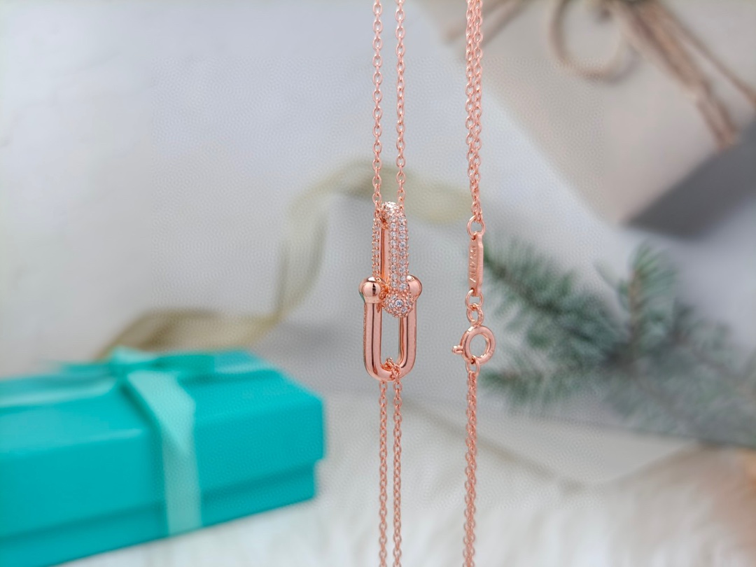Horseshoe Clasp Pendant Necklace with Diamonds