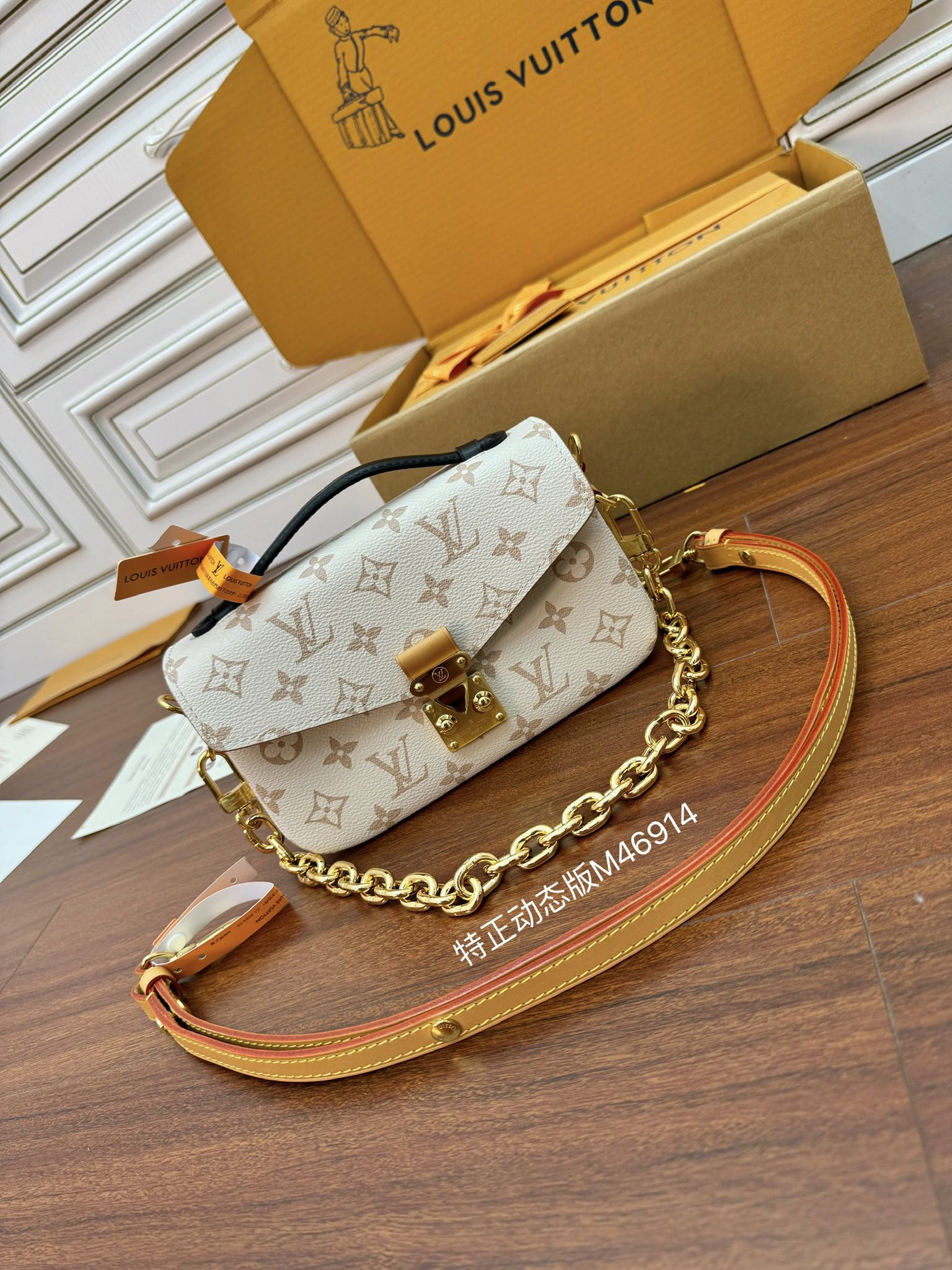 LV Bag 1