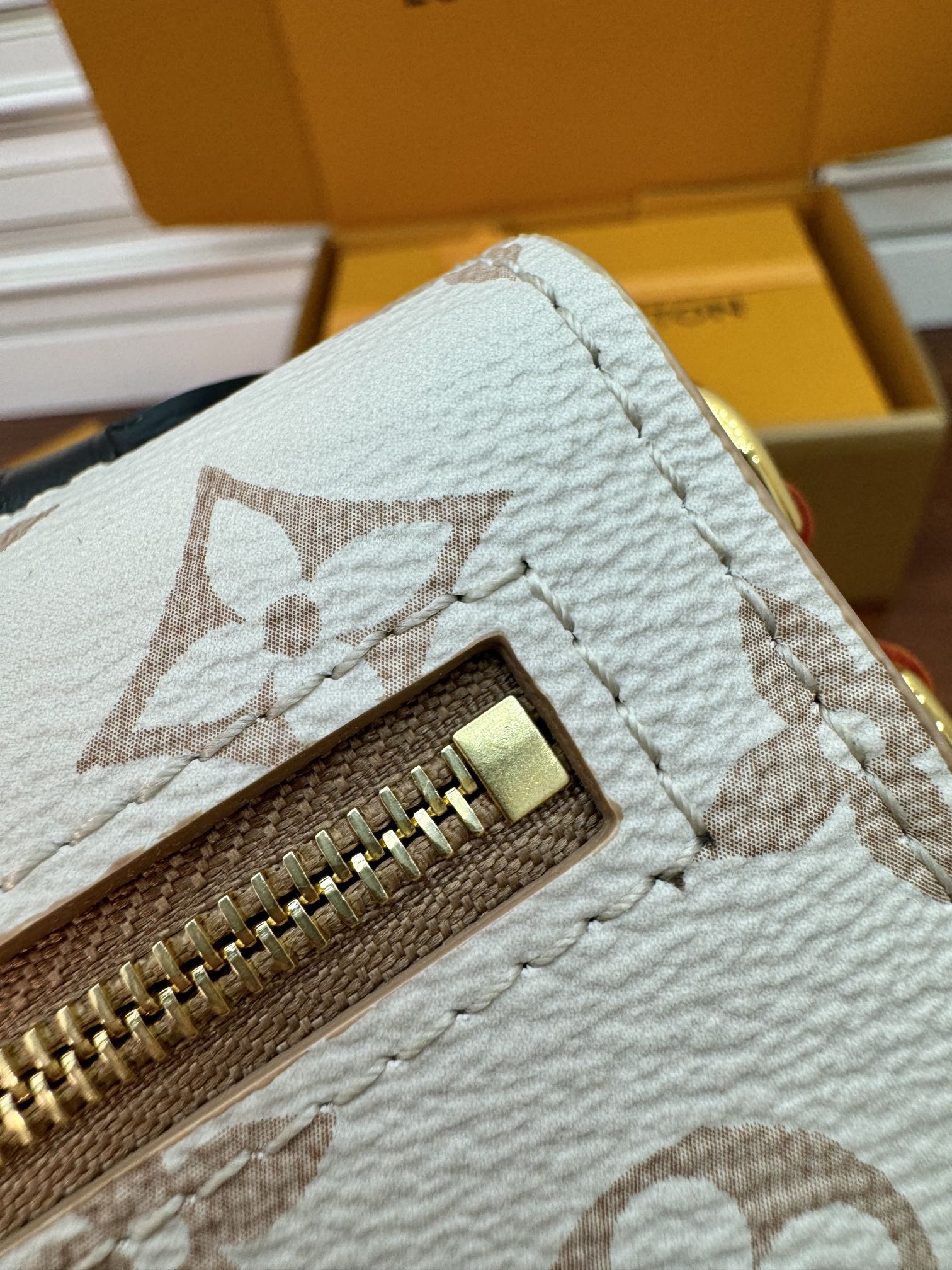 LV Bag 1