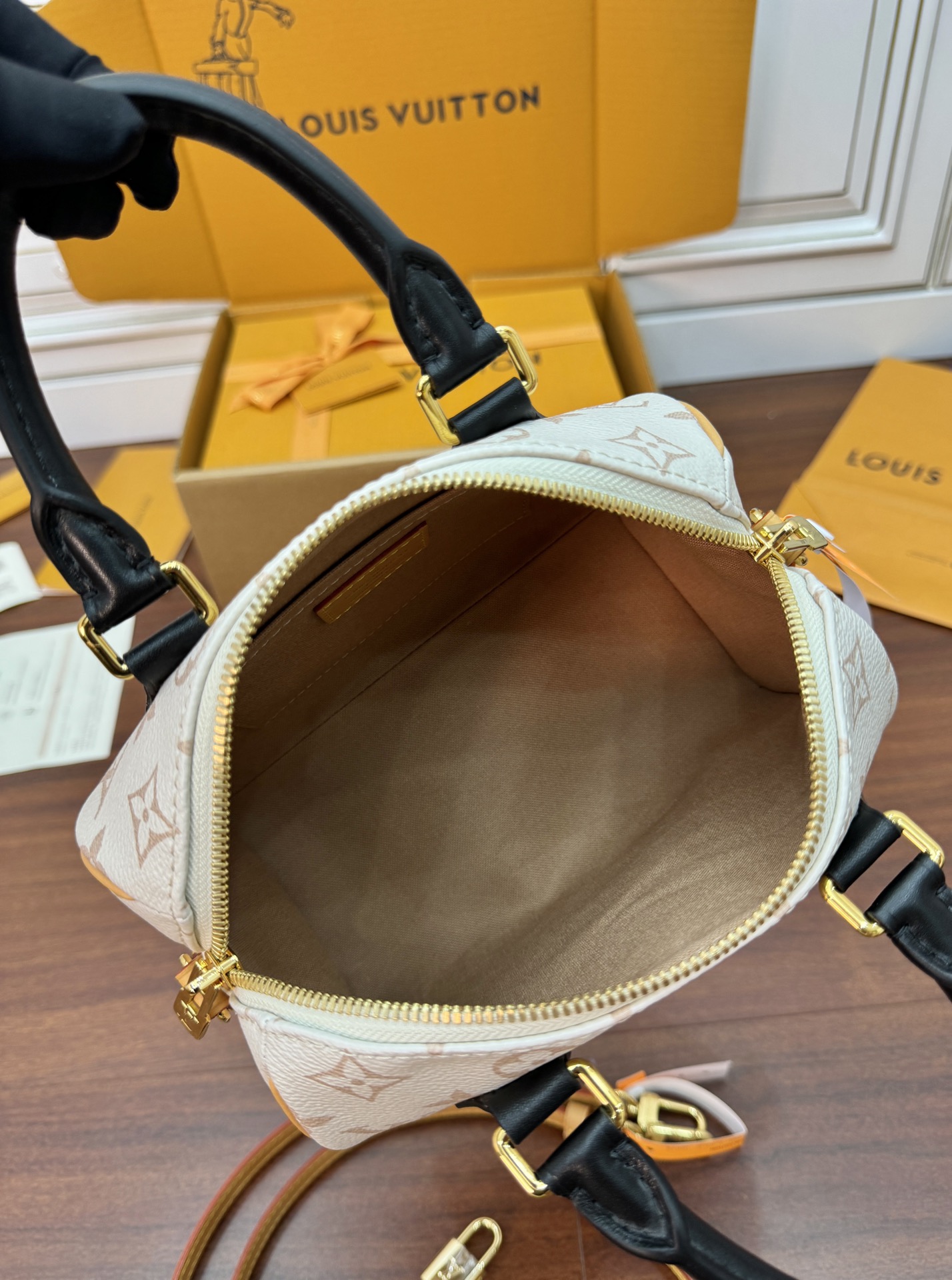 LV Bag 2