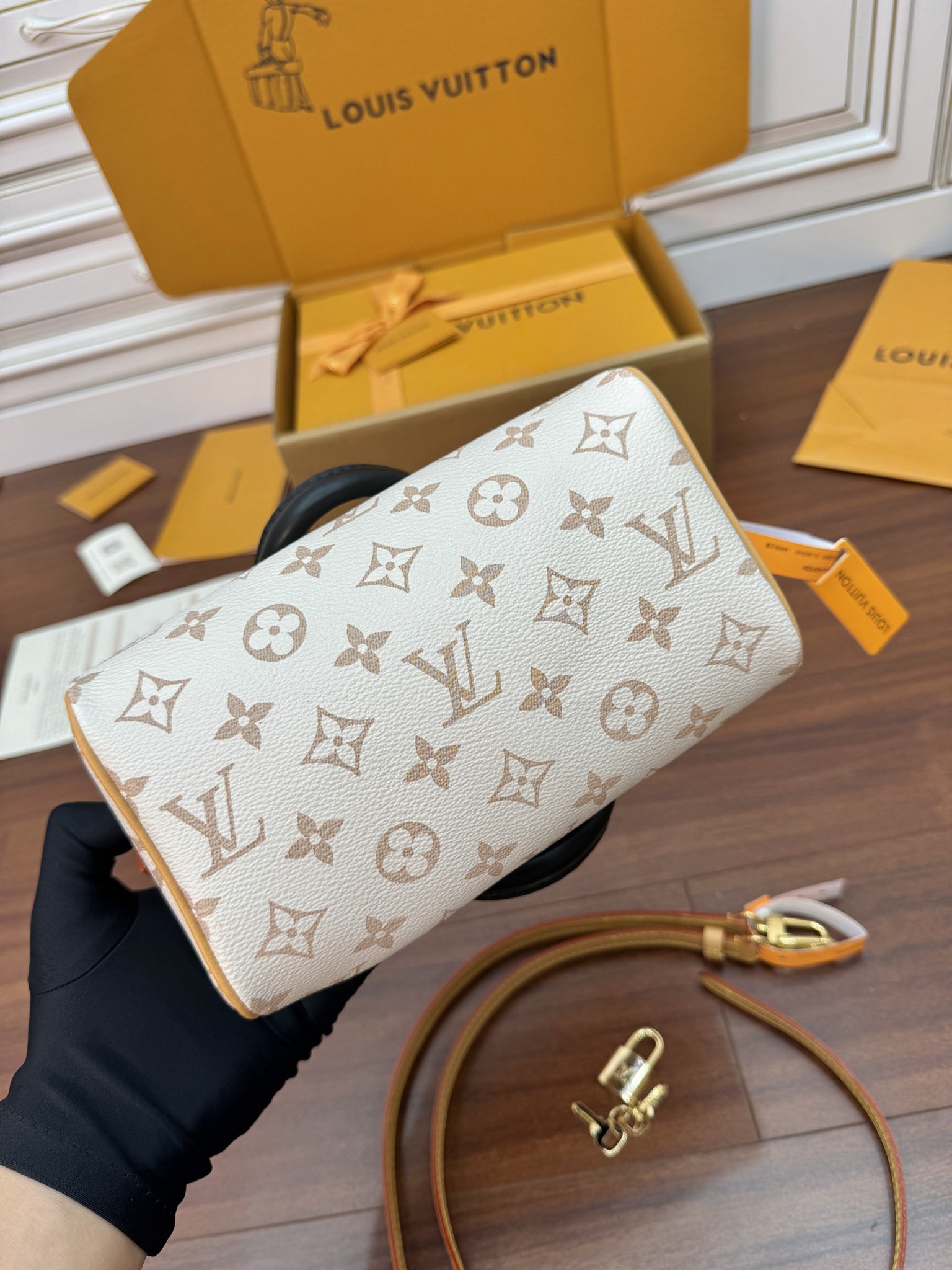 LV Bag 2