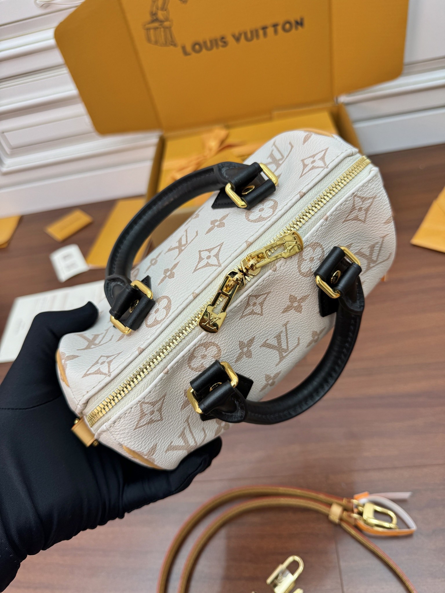 LV Bag 2