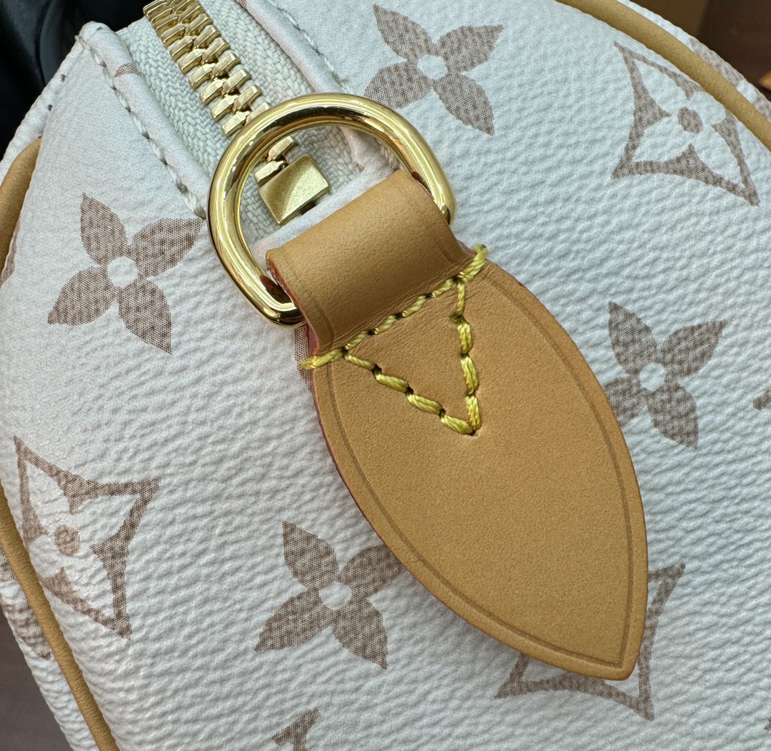 LV Bag 2