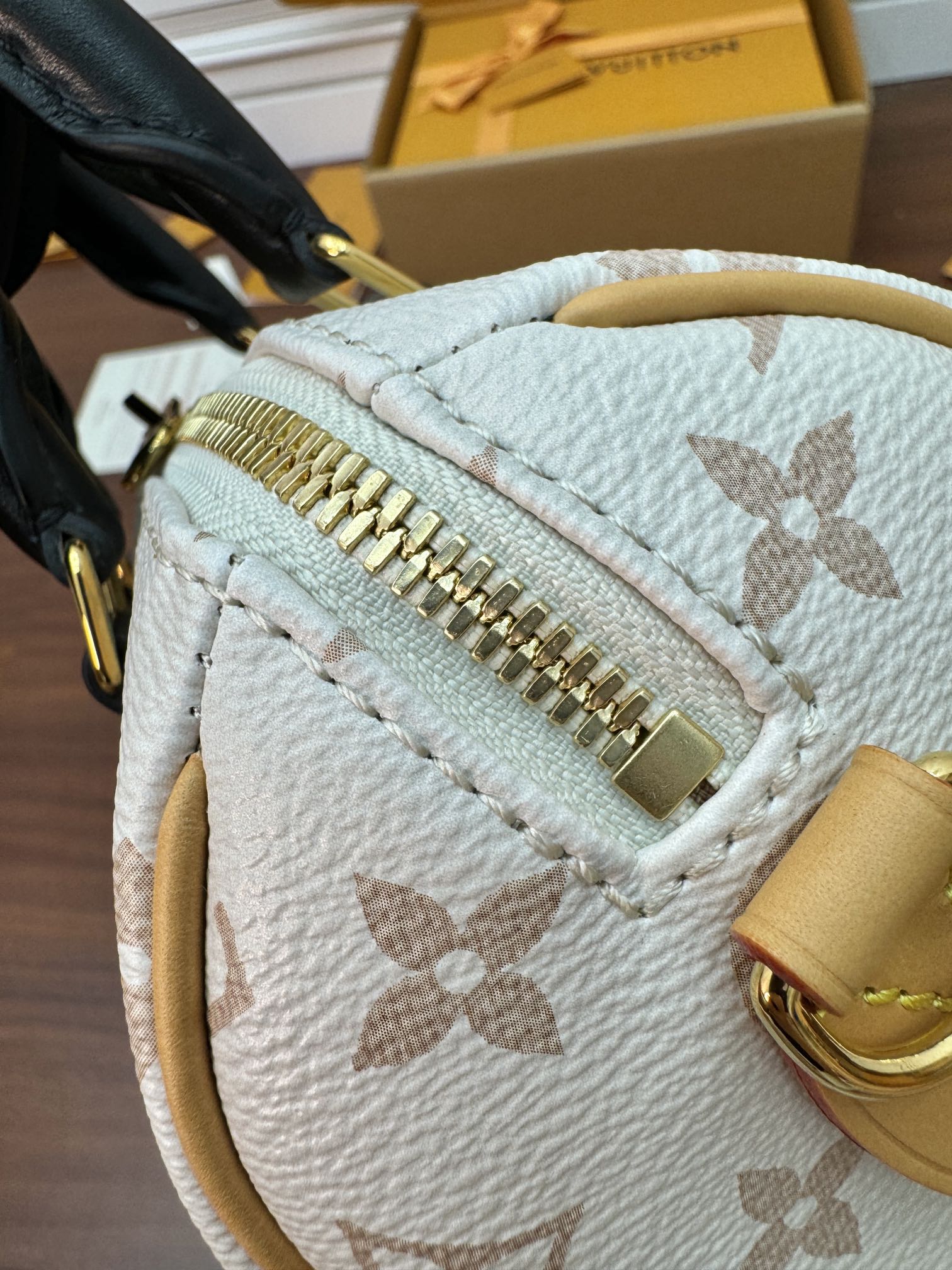 LV Bag 2