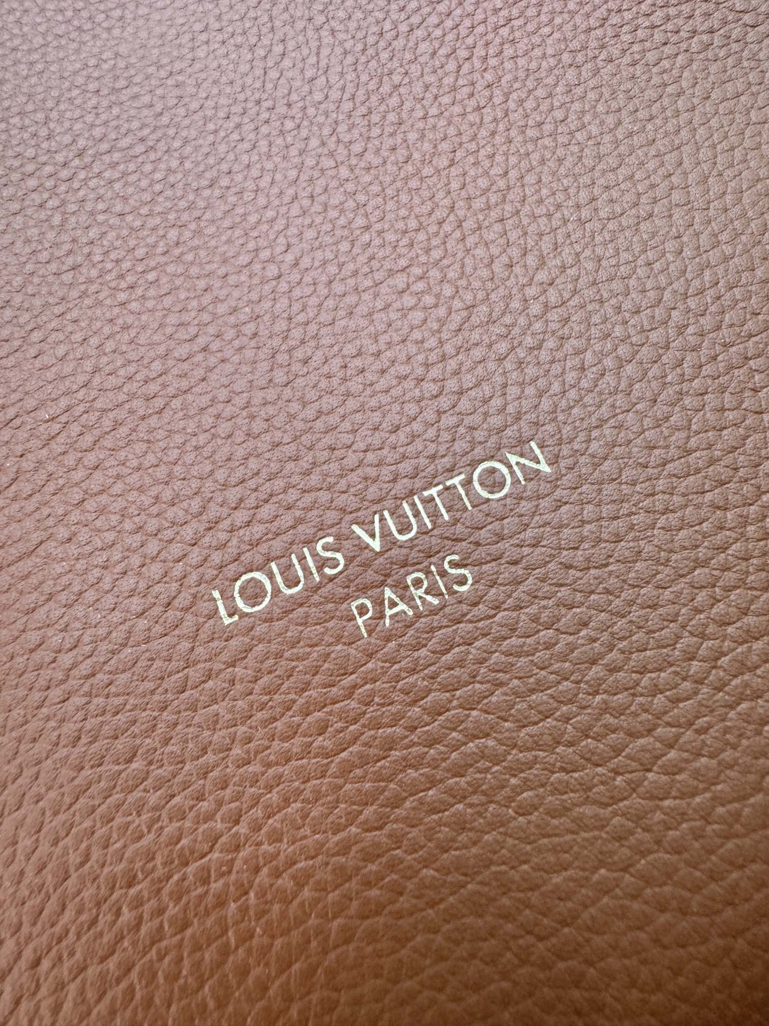 LV Bag 4