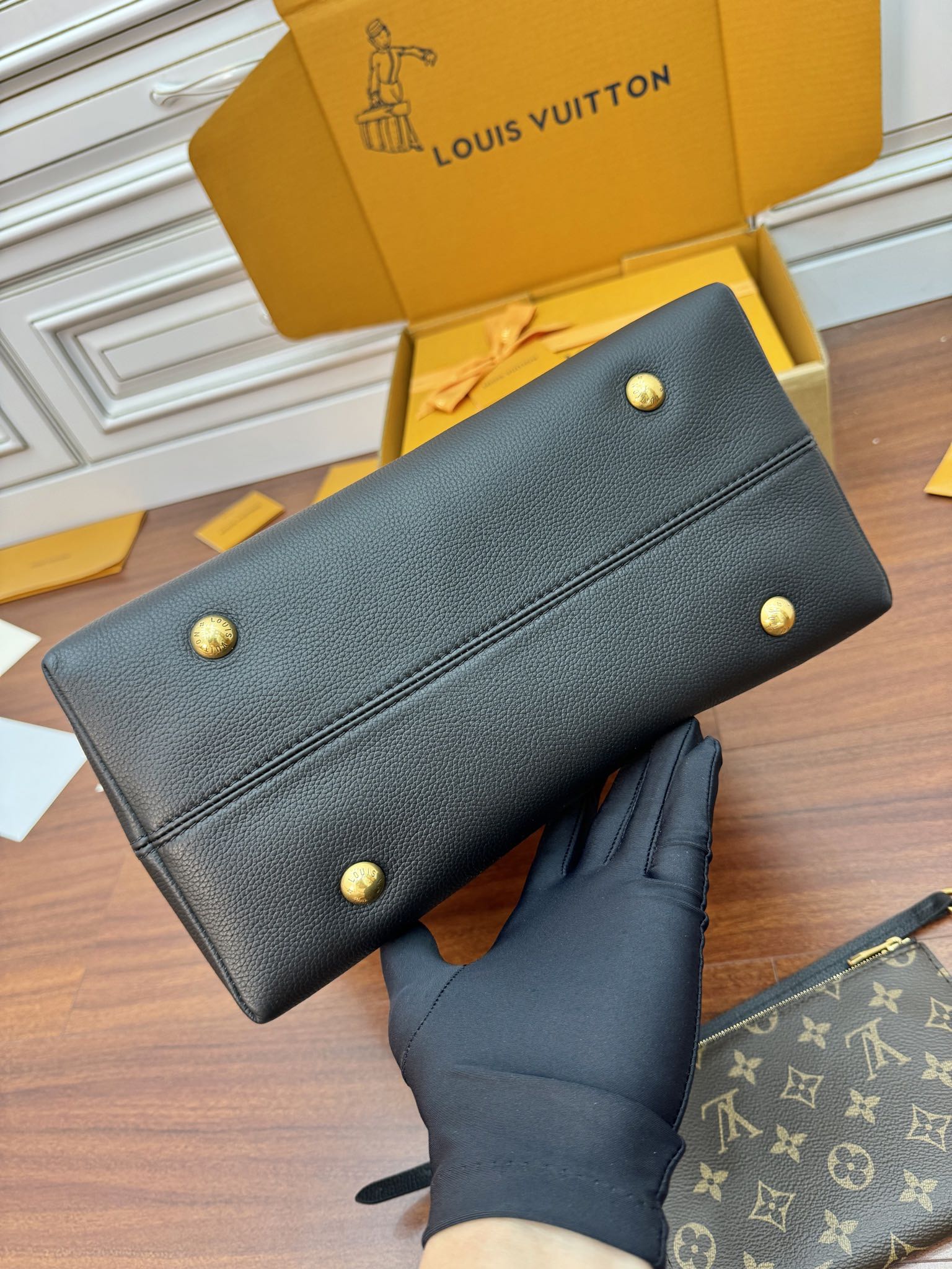 LV Bag 5