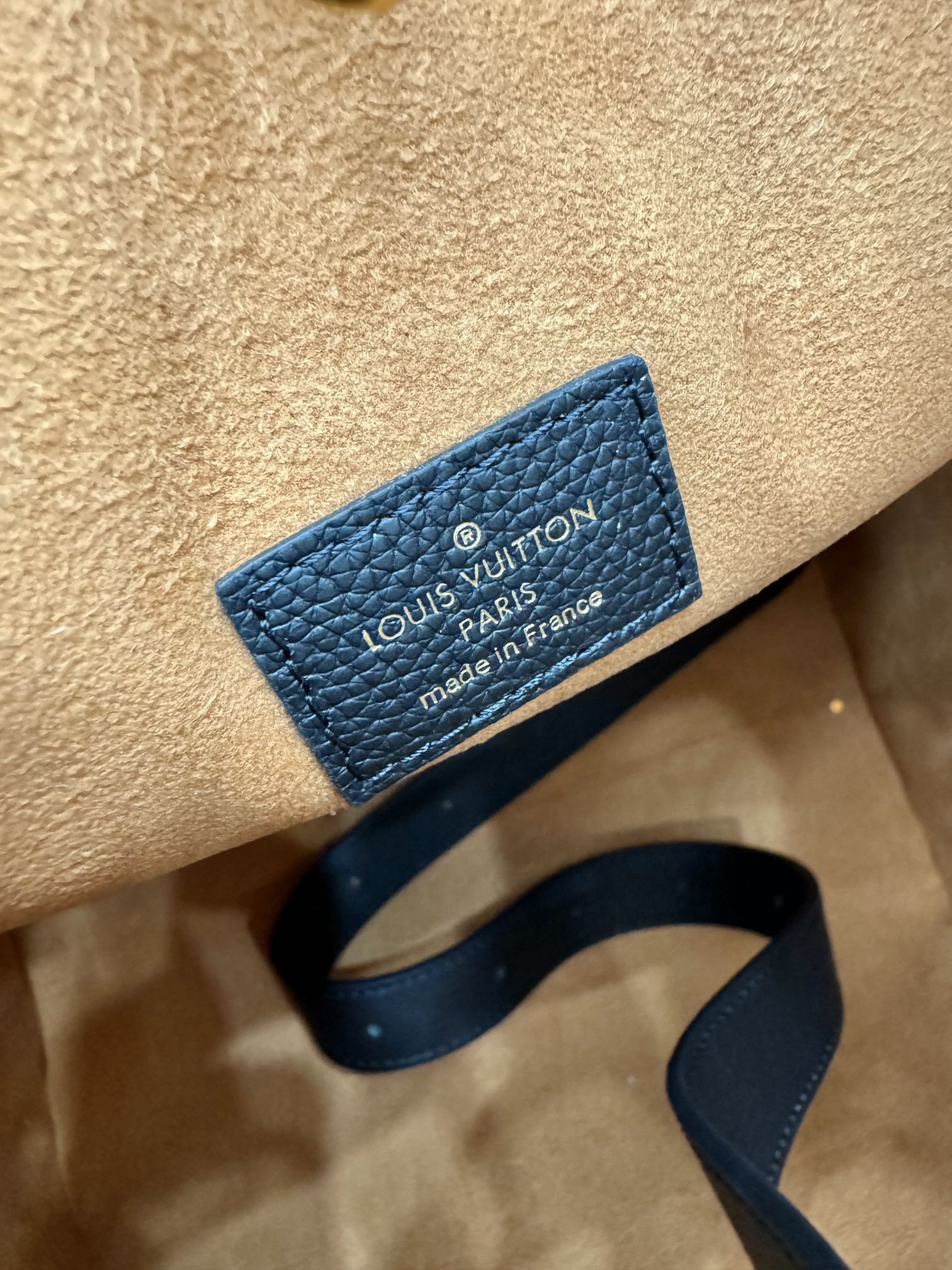 LV Bag 5