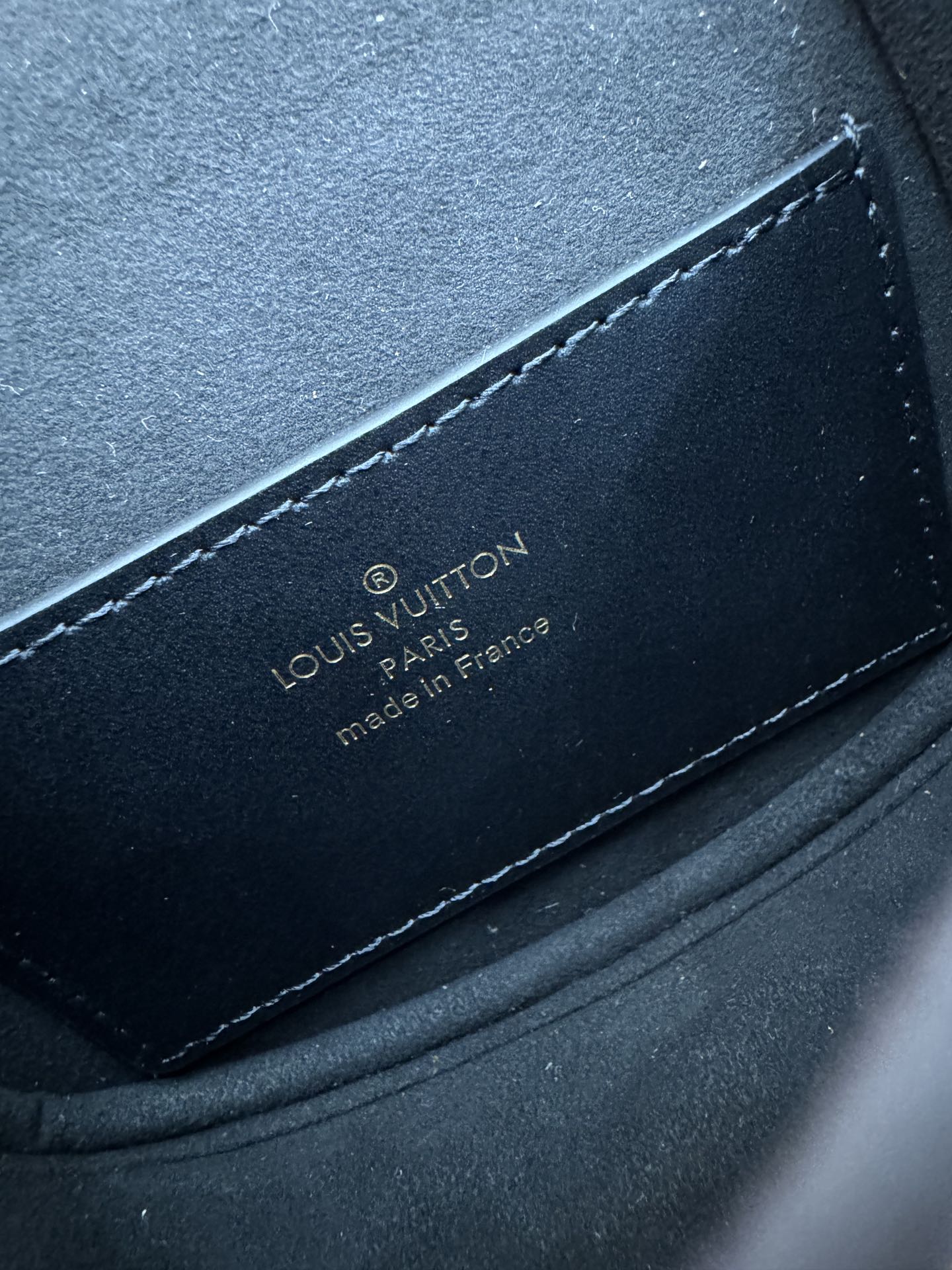 LV Bag 8