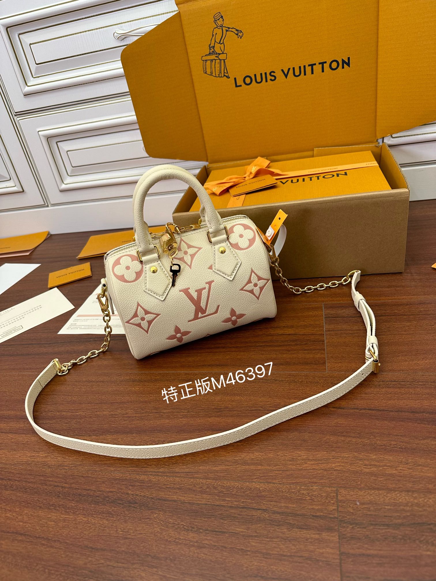 LV Bag 12