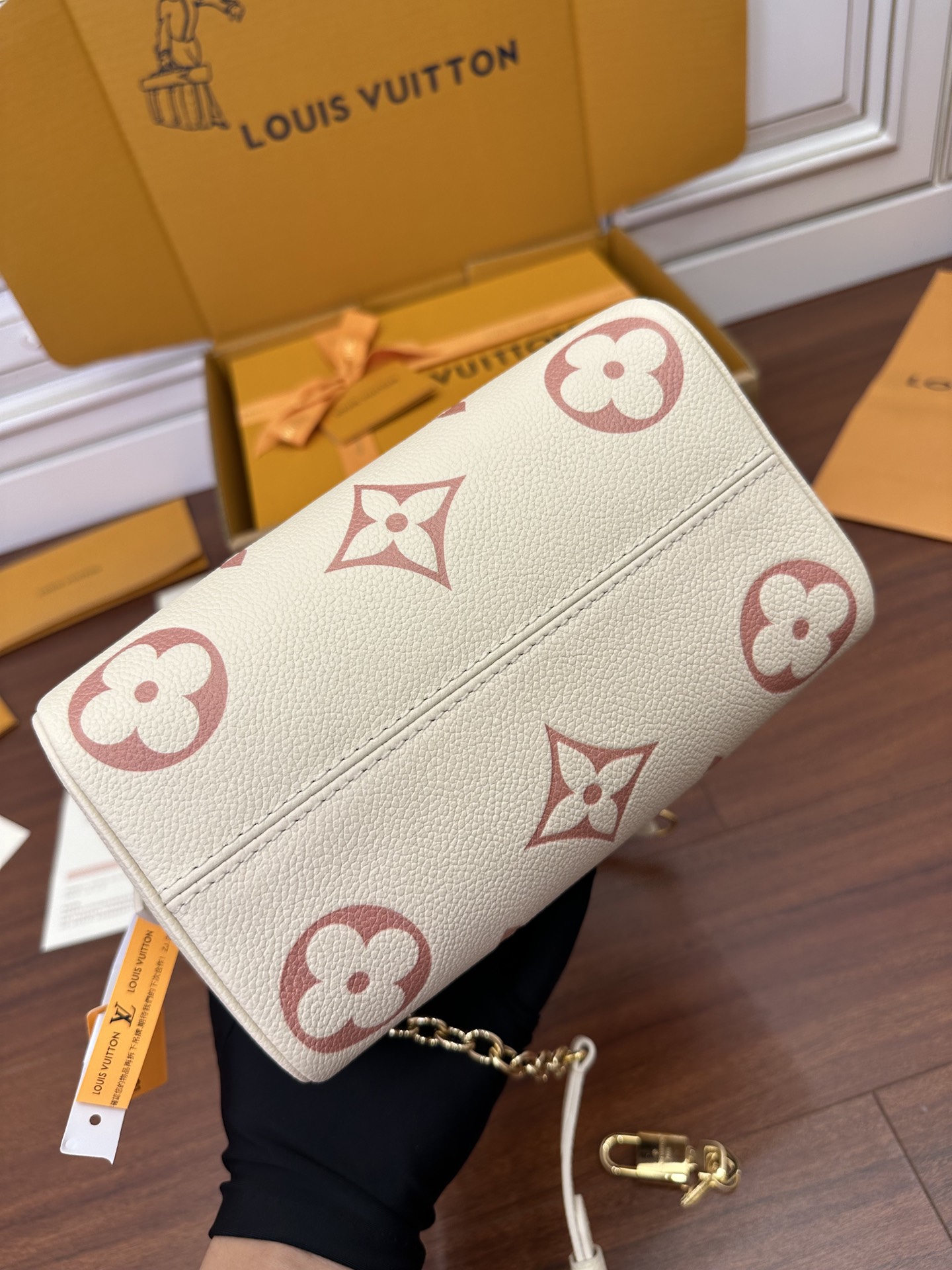 LV Bag 12