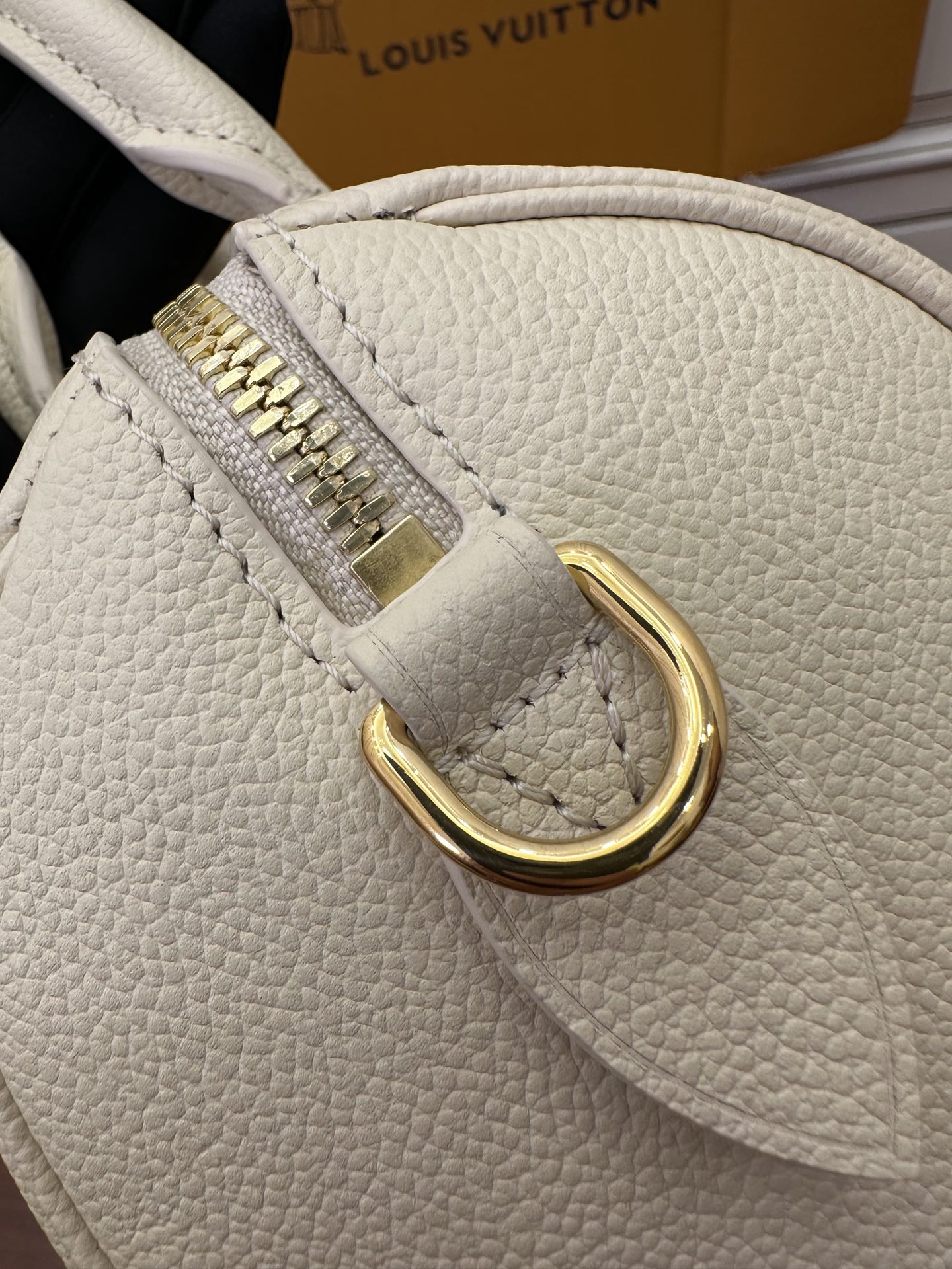 LV Bag 12