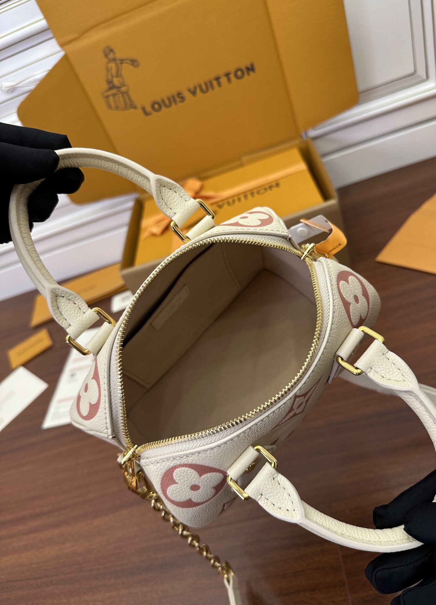 LV Bag 12