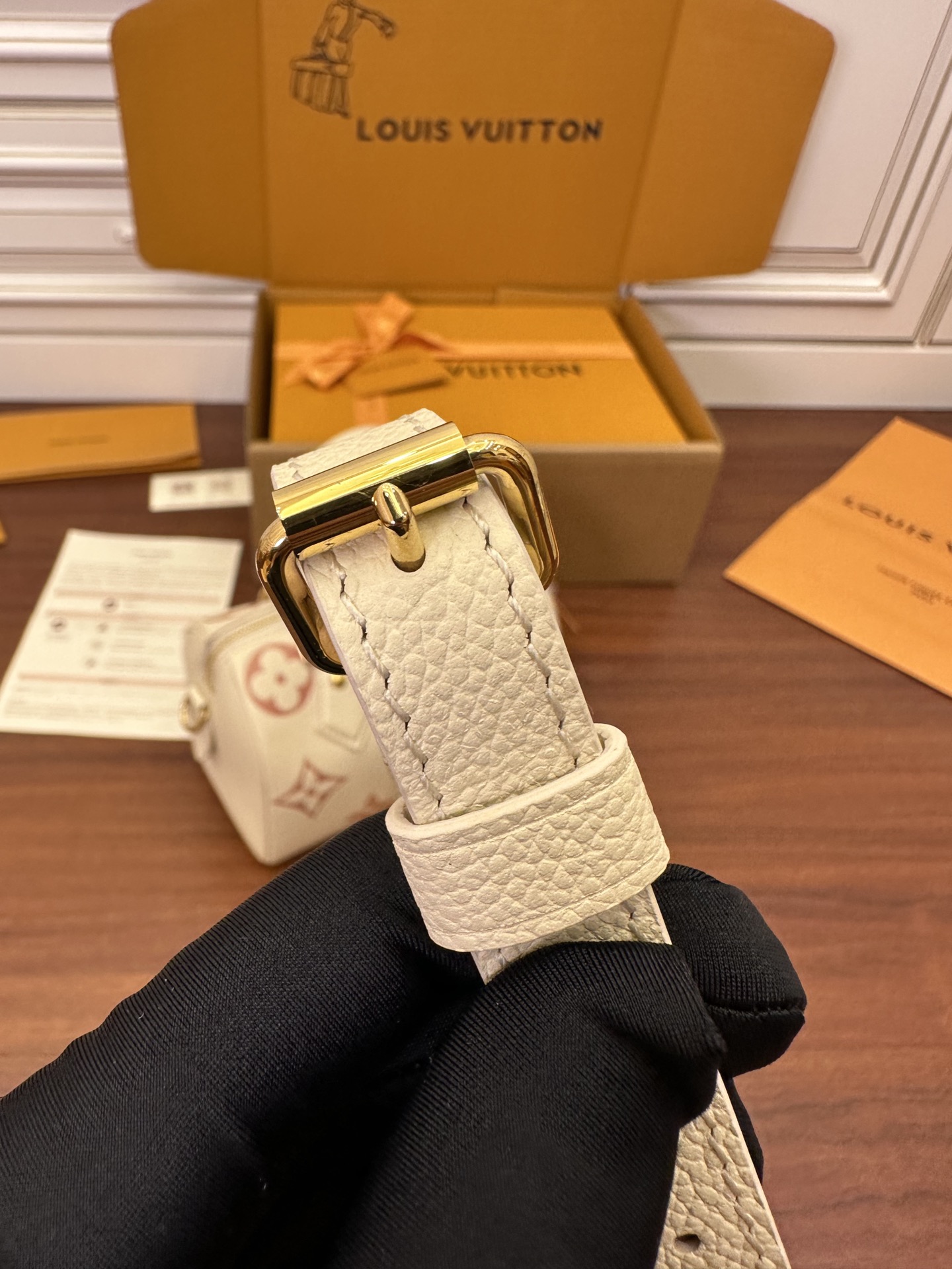 LV Bag 12