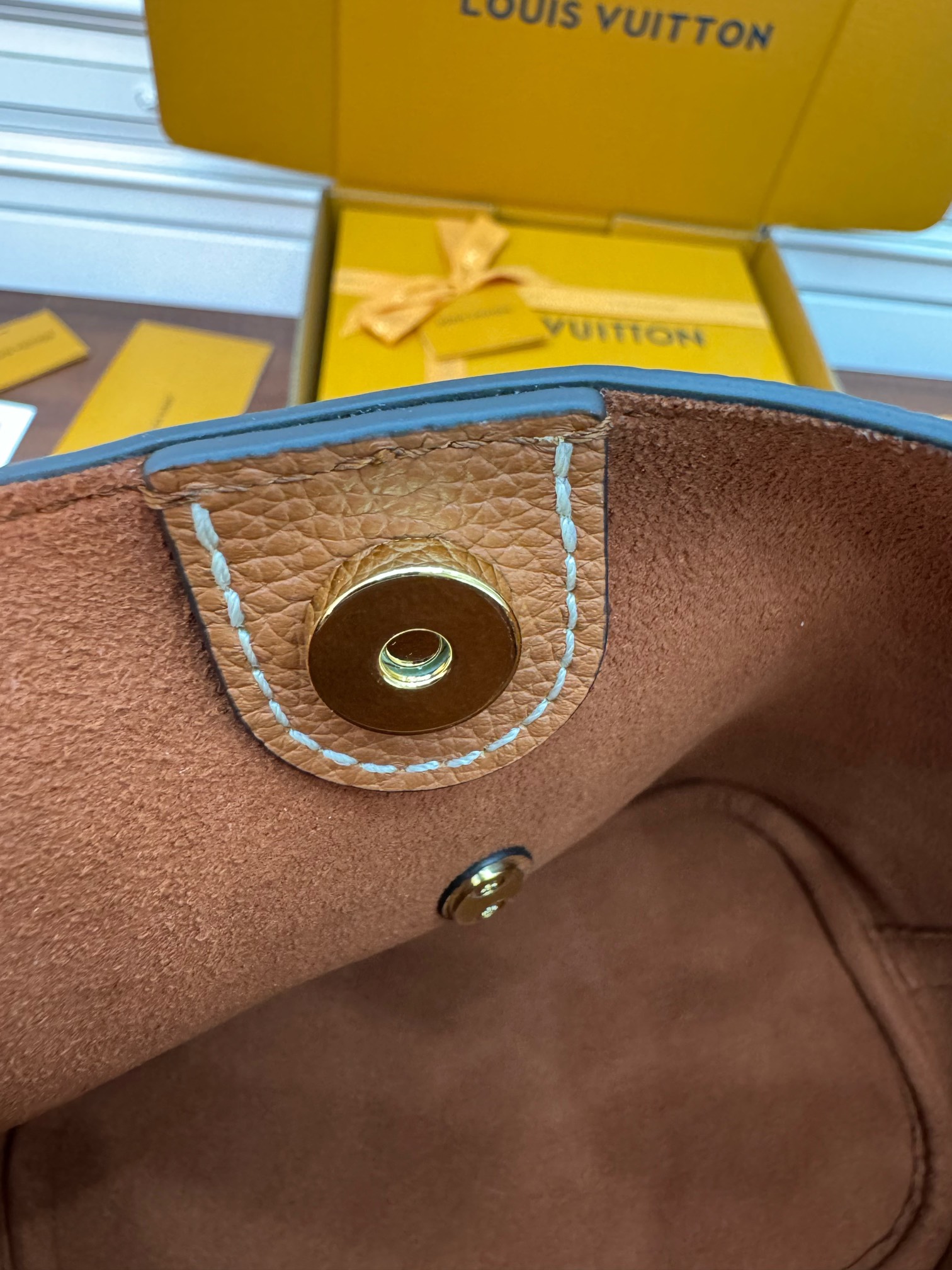 LV Bag 13