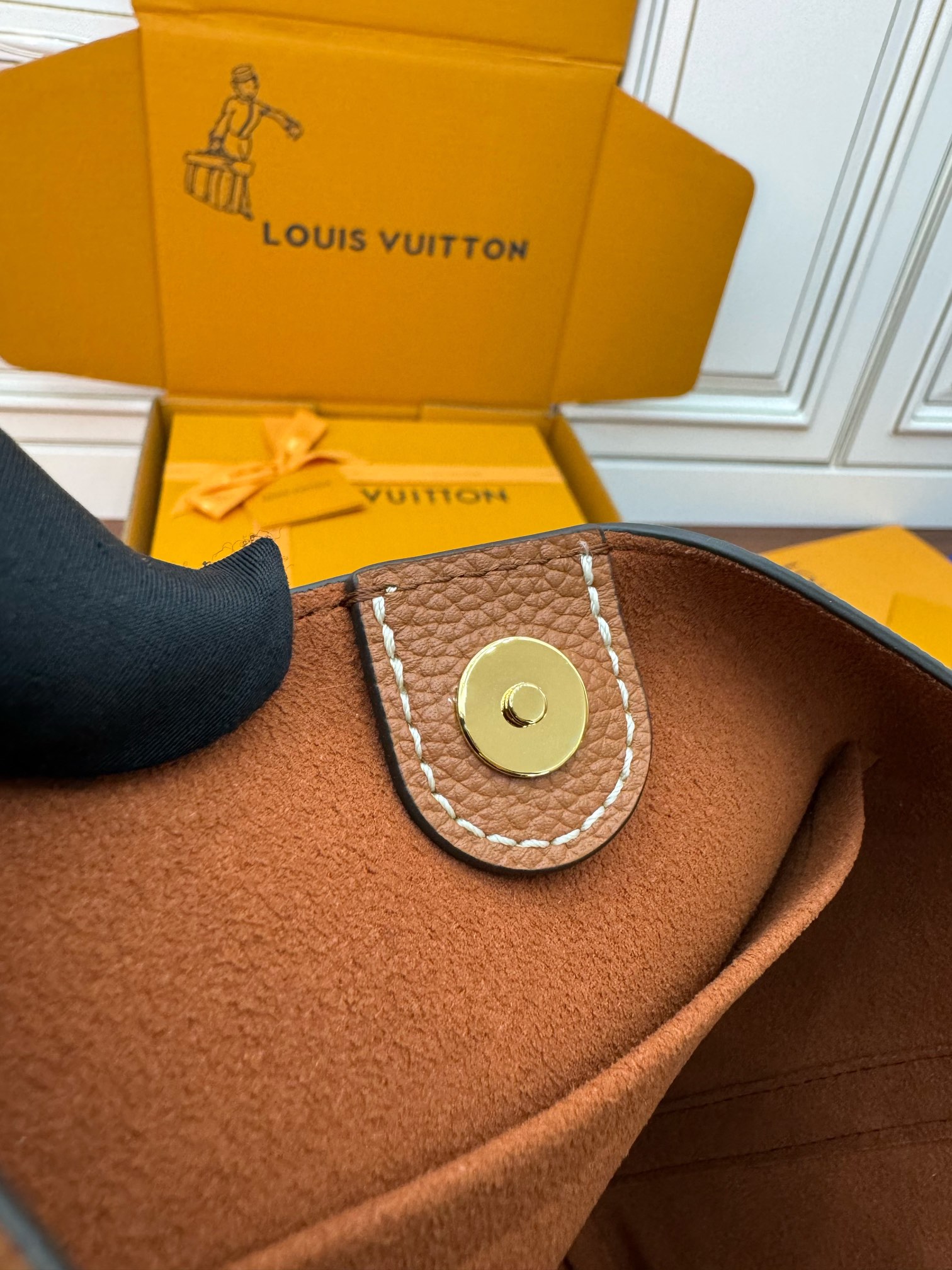LV Bag 13