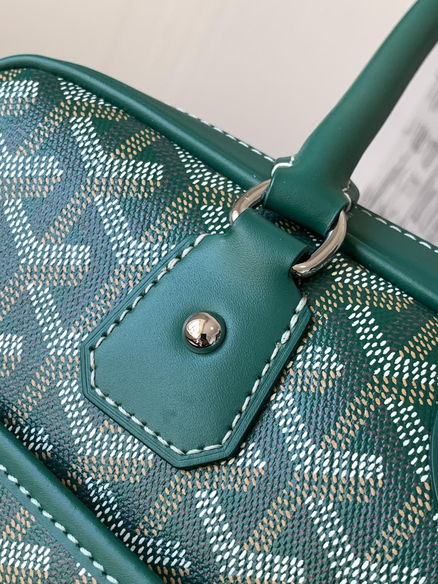 Goyard Vintage Bag Green