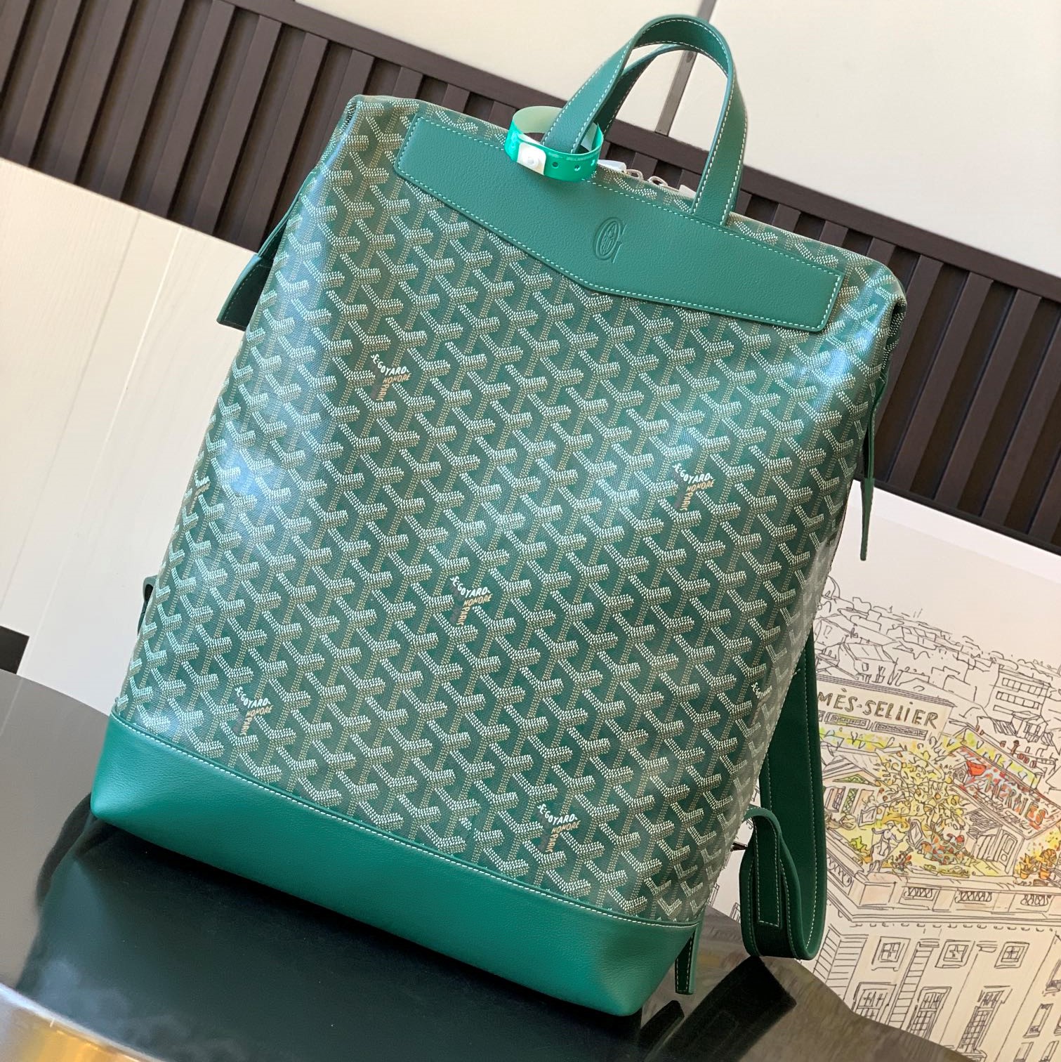 Goyard Backpack Green