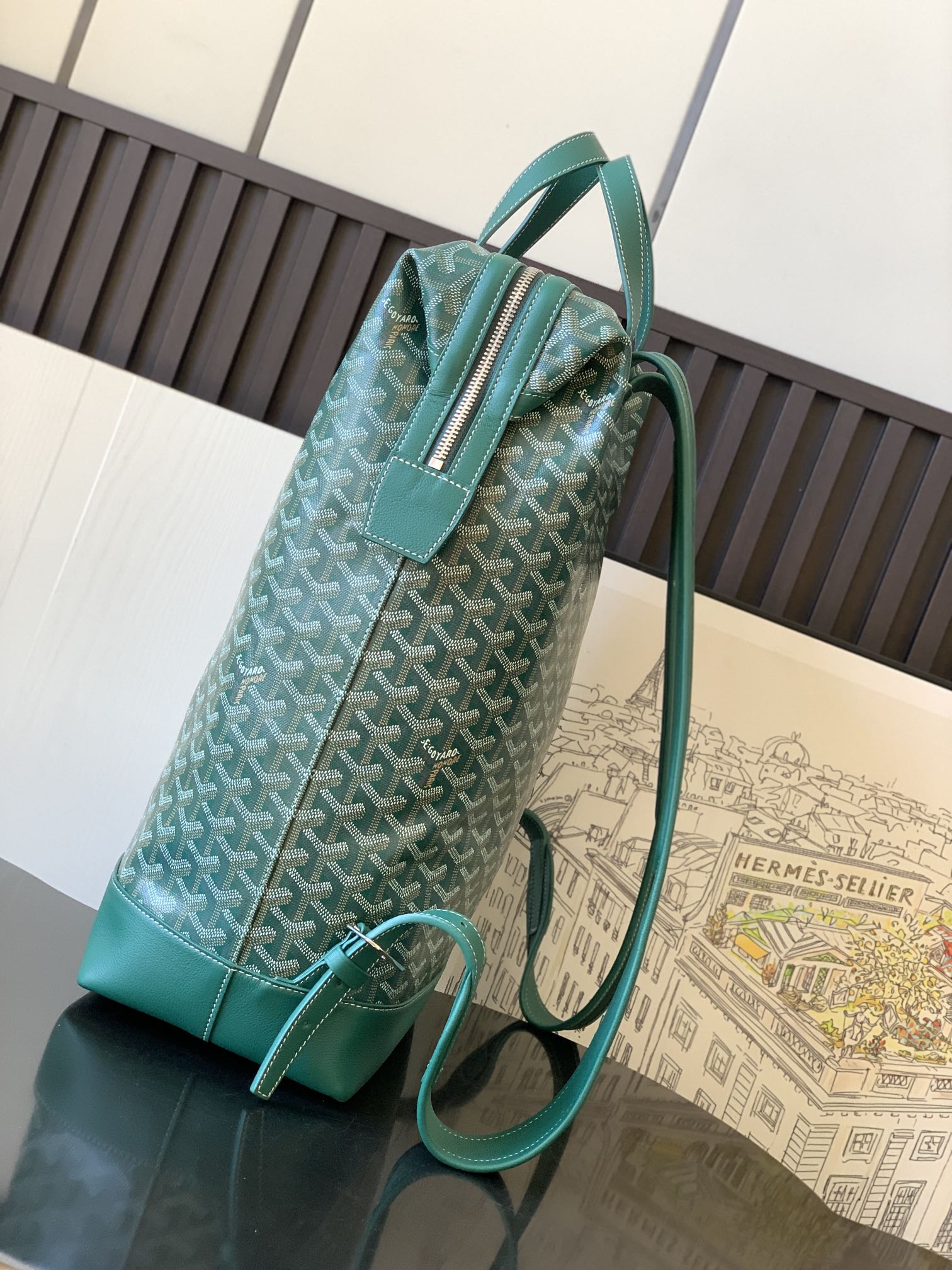Goyard Backpack Green
