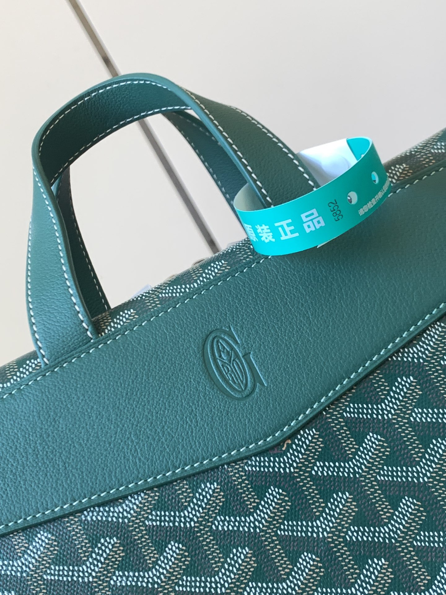 Goyard Backpack Green