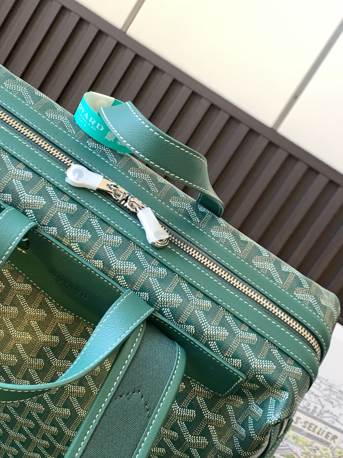 Goyard Backpack Green