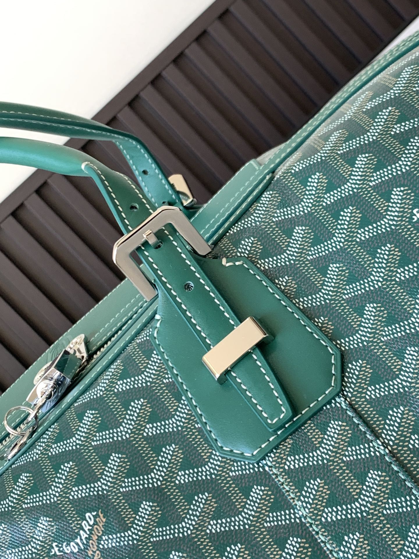 Goyard Luggage Bag Green