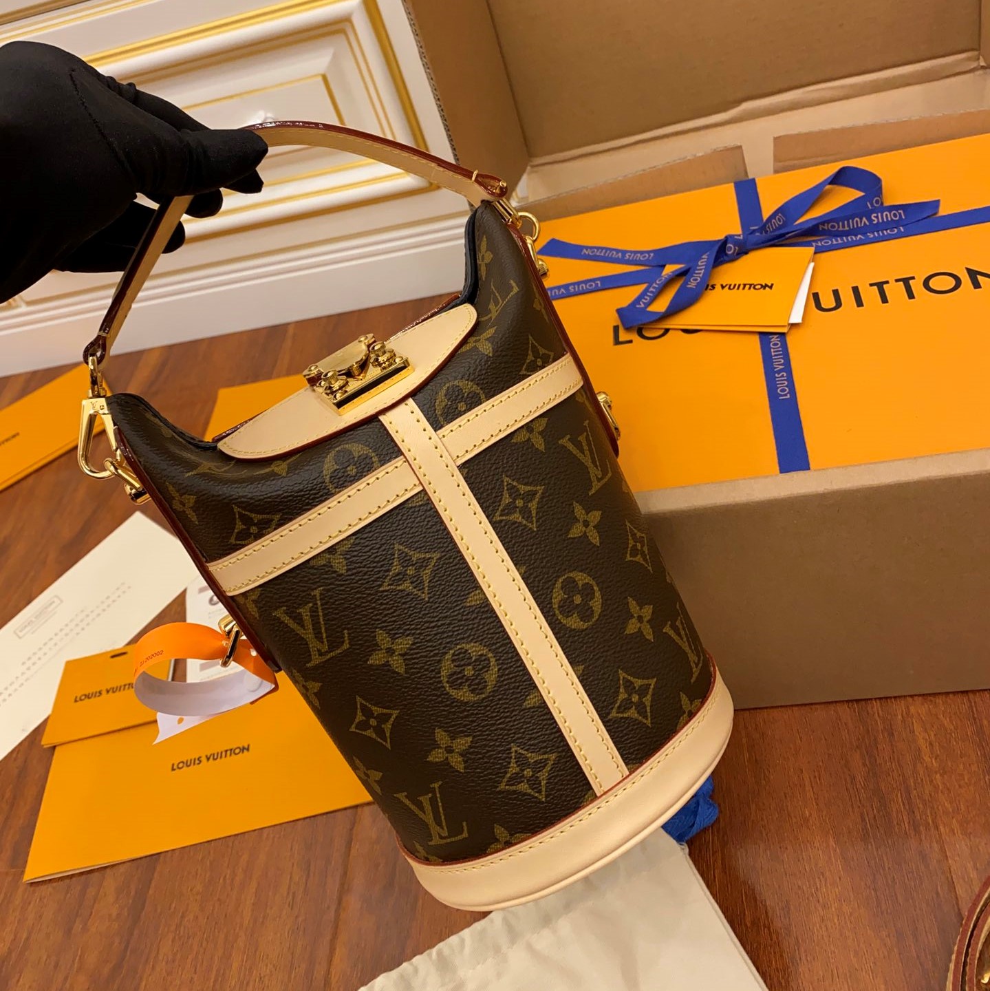 LV Bag 17