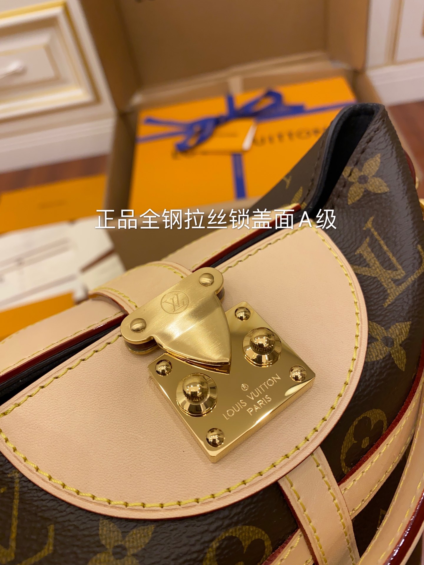 LV Bag 17