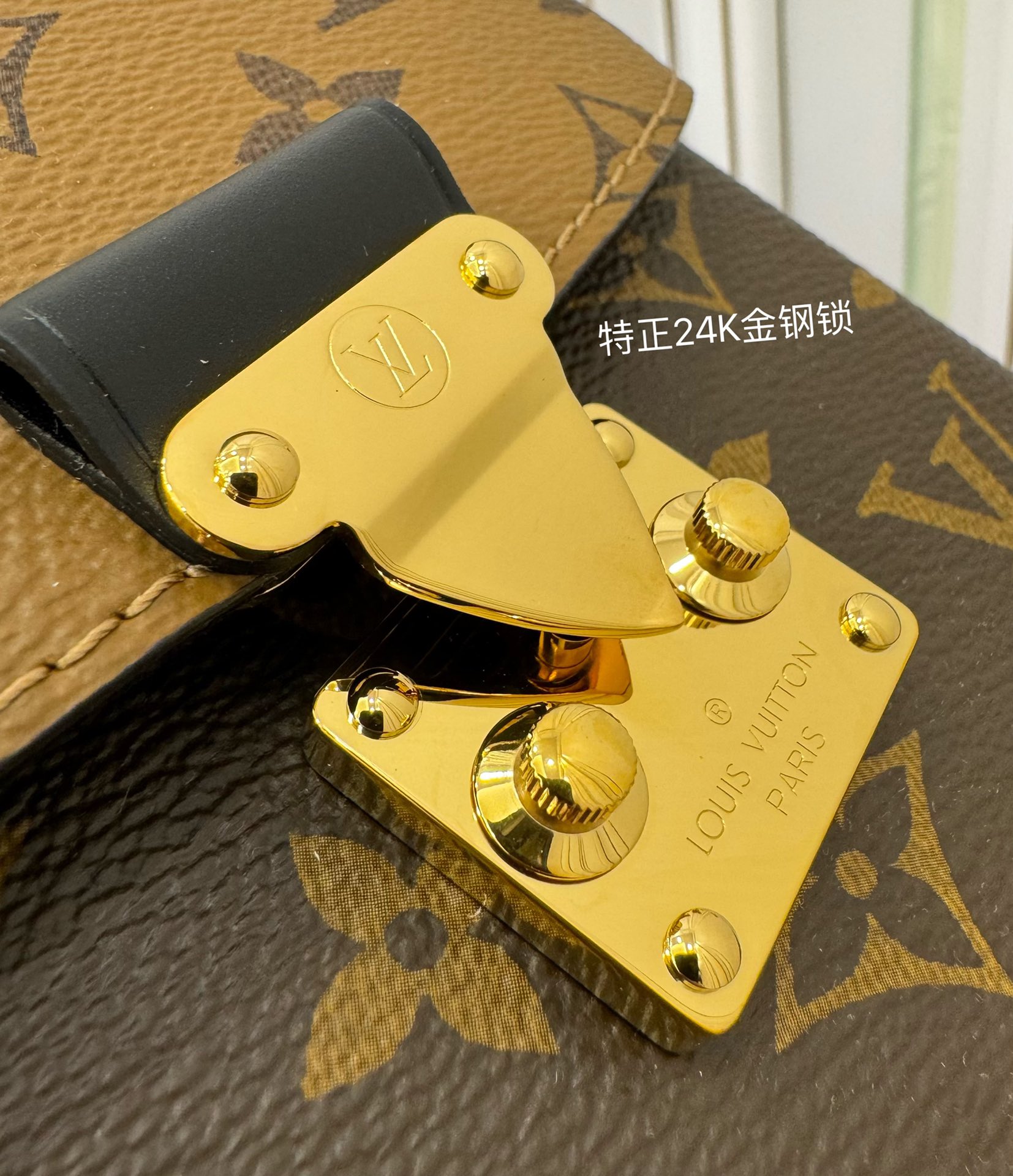 LV Bag 18