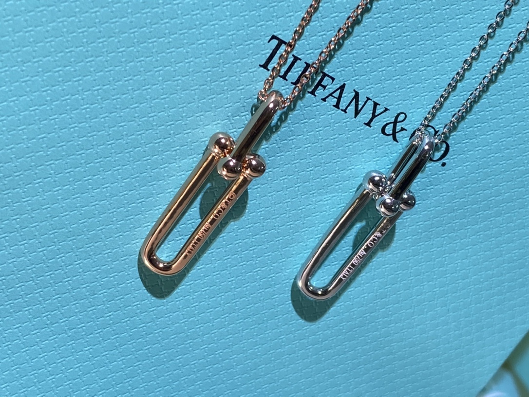 Horseshoe Long Buckle with Diamonds