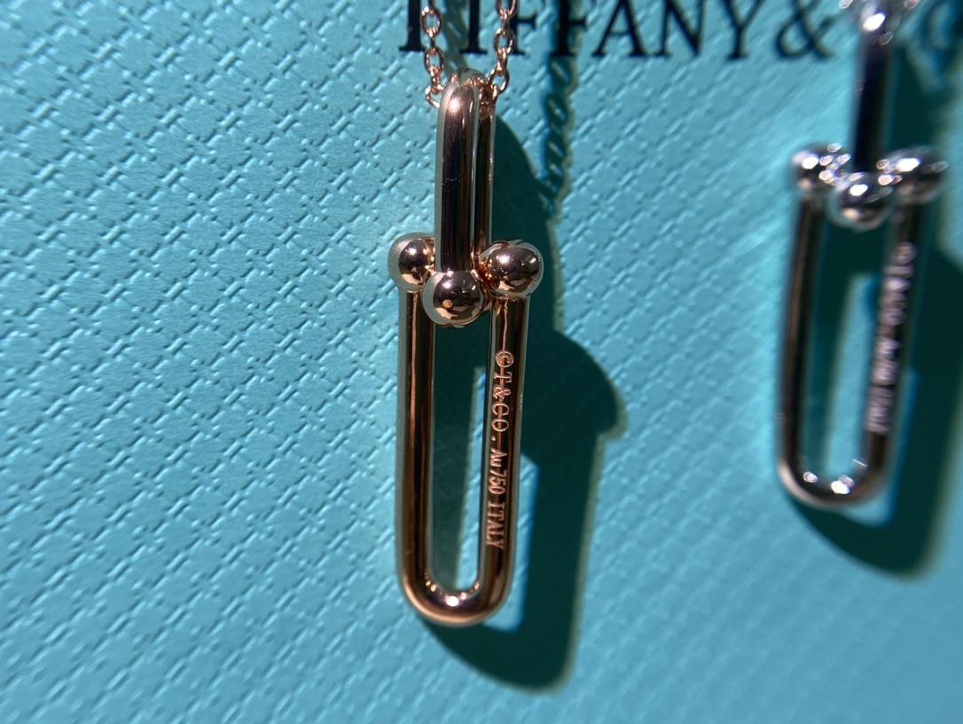 Horseshoe Long Buckle with Diamonds
