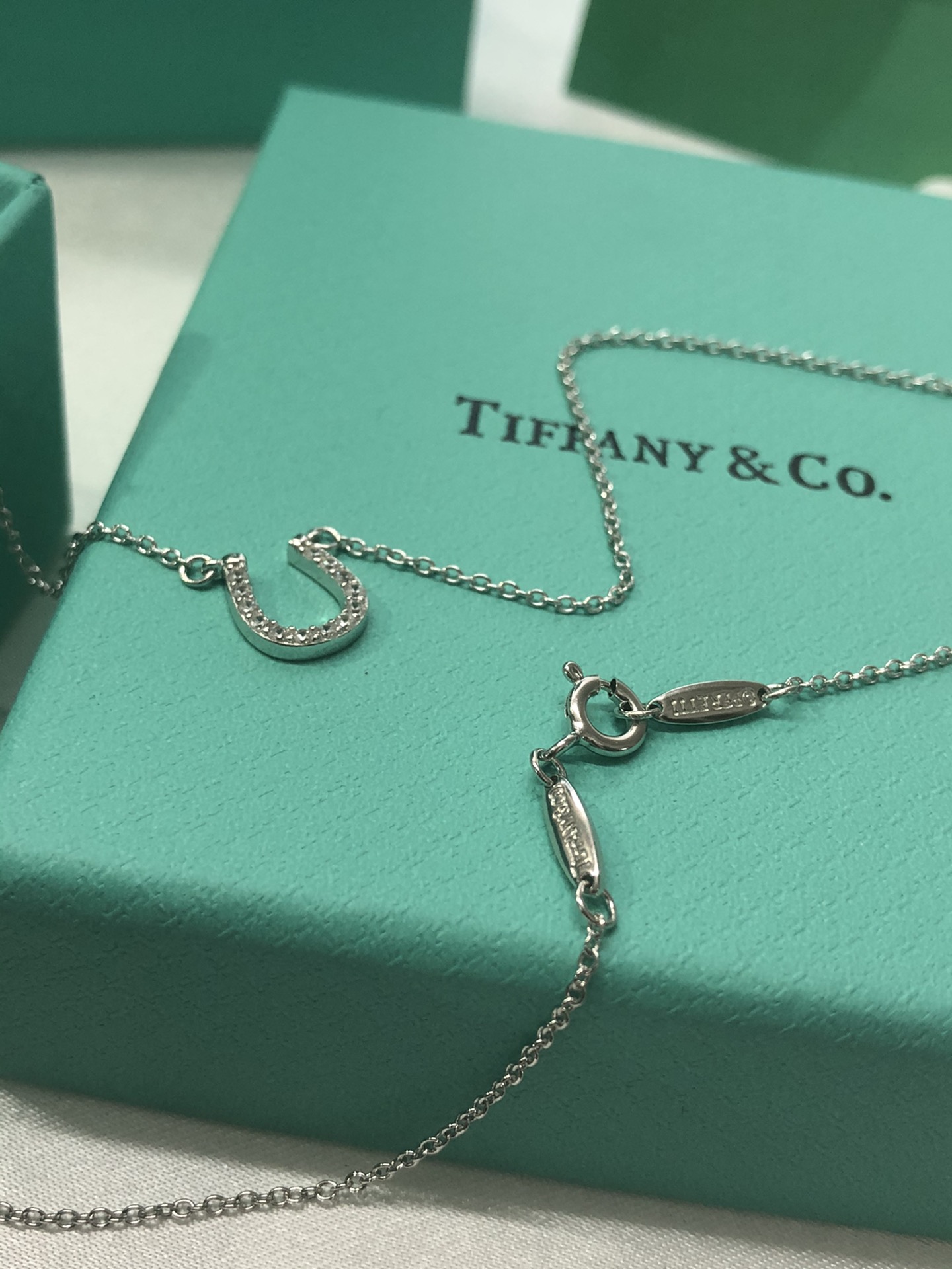 U Necklace with Diamonds